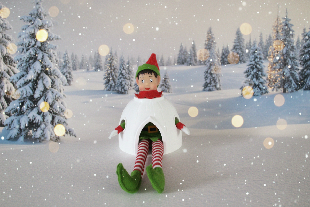 Elf Igloo